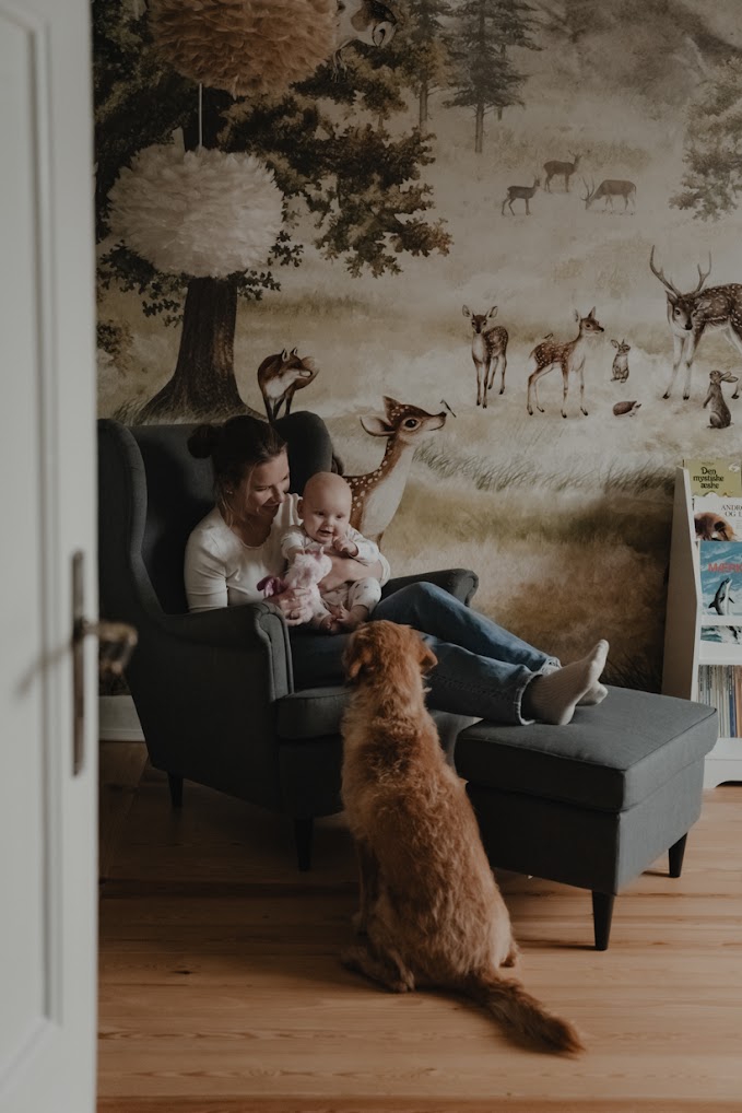 hjemmefotografering11